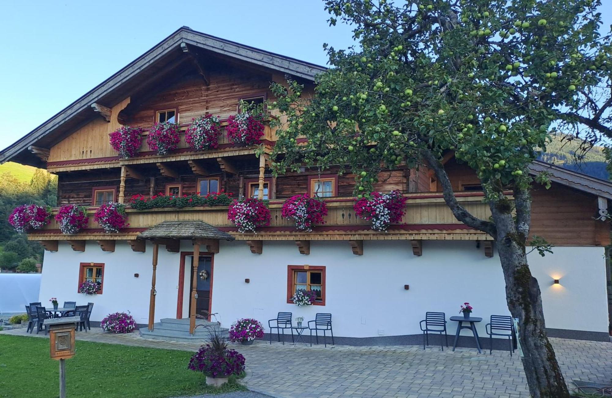 Ferienwohnung Steinernes Meer 玛丽亚埃姆安斯泰内嫩米尔 外观 照片